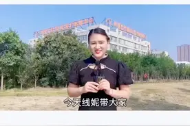 阿里巴巴客服体验中心期待你的加入视频封面
