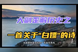 大副歪解历史之  一首关于"白嫖"的诗视频封面