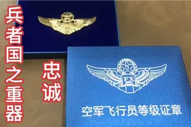 中国空军鹰击长空，云海踏浪，蓝天翱翔，白云战场，巡祖国海疆。视频封面