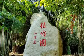 漫步咸宁潜山桂竹园，回忆起小时候放牛的情景，溢于言表。视频封面
