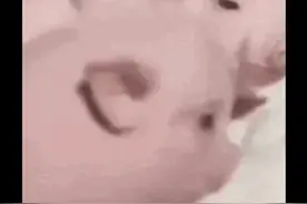 这是什么专家？！？