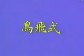 南怀瑾鸟飞式补肾法视频封面