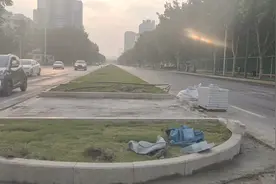 郑州金水路路中间护栏拆除建了绿化带，多人冒险横穿，险象环生视频封面