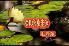 春天我不先开口 哪个虫儿敢作声视频封面