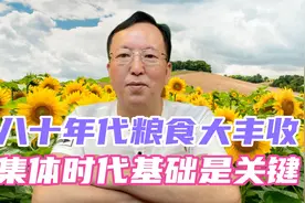 80年代粮食大丰收，集体时代奠定的基础是关键！视频封面