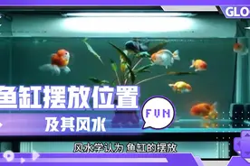 鱼缸摆放位置及其风水视频封面