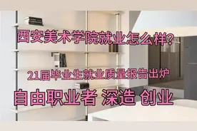 497：西安美术学院就业质量报告分析！美院的毕业都去哪里了？视频封面