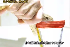 第一集｜狼叔大挑战，测试眼镜王蛇和加蓬蝰蛇的毒液，