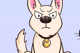 单身为什么是狗？“单身狗”一词是怎么来的？视频封面