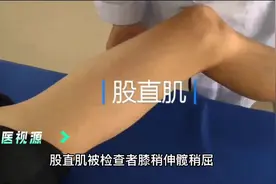人体体表解剖学-下肢(3)视频封面