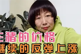 节后为何猪价反弹不断，有一个关键的决定  何时把猪出栏比较合适视频封面