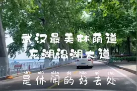 武汉最美绿荫大道，东湖沿湖大道视频封面