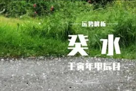 壬寅年甲辰月 癸水运势解析视频封面