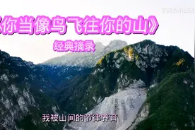 《你当像鸟飞往你的山》经典摘录：你的命运掌握在自己手里！视频封面