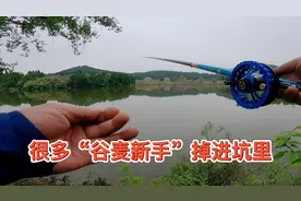 窝料配方真的很重要吗？让你真正了解谷麦钓法的精髓，你值得收藏