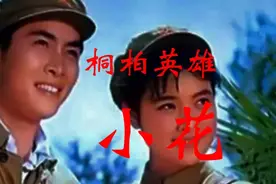 《桐柏英雄》简介。桐柏英雄永垂不朽！！向桐柏英雄致敬！！！。视频封面