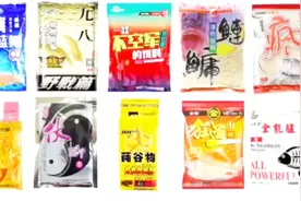 您知道十大鱼饵品牌中的经典饵料有哪些吗？小编给您说一下视频封面