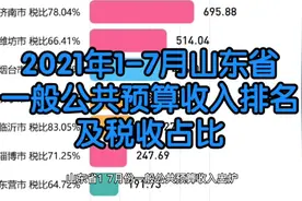 山东1-7月份一般公共预算收入排名，潍坊黑马狂奔，反超烟台视频封面