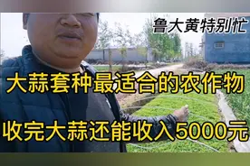 大蒜地套种最合适的农作物每亩多收入近5000元！而且投资小回报高视频封面