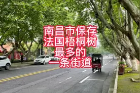 南昌市保存法国梧桐树最多的街道，具有浓郁年代色彩的街道！