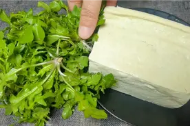惊蛰时节要多吃荠菜，加一块豆腐，教你个新吃法，营养美味，真香视频封面