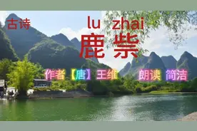 古诗《鹿祡》作者【唐】王维   朗读  简洁视频封面