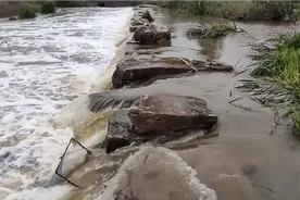 一场大雨后河水上涨，成群的鱼儿逆流而上，小伙来到水坝下游，哇视频封面