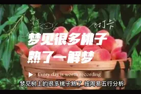 梦见很多桃子熟了————解梦视频封面
