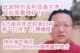 北非阿尔及利亚奥兰市425亩百年产权卖65W！有一口井，几棵橄榄视频封面