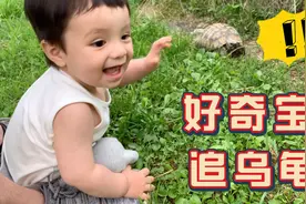 中德混血宝宝查理，去见德国爷爷奶奶，一个月没来不认识房子了视频封面