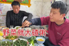 吃山野菜的季节，刺嫩芽炒鸡蛋婆婆丁蘸酱，晚饭就着大碴粥吃挺香视频封面