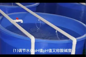 水产养殖：如何调节水体ph值和硬度视频封面