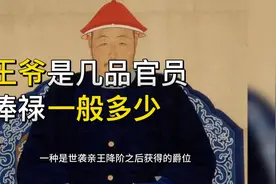清朝王爷是几品官员？俸禄一般多少？视频封面