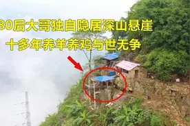 探访贵州一80后大哥，独自隐居深山悬崖10多年，养羊养鸡与世隔绝视频封面
