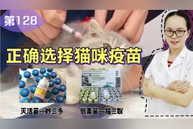 猫咪疫苗妙三多和猫三联，傻傻分不清，铲屎官选择哪一种更好呢？