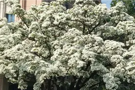 007顶级神曲触电动感轻音乐，精品与心灵共鸣赠有品味高雅的人视频封面