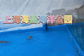 上海海昌海洋公园网上预约60岁以上门票免费