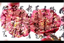 待到山花烂漫时，她在丛中笑 毛主席诗词卜算子·咏梅 毛笔字书法视频封面