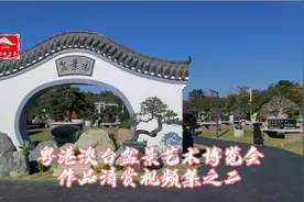 岭南佳作，百看不厌！作品精采视频清赏视频封面