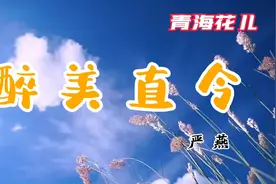 青海花儿-醉美直令 严燕  传承弘扬民族文化，继承民族精神视频封面