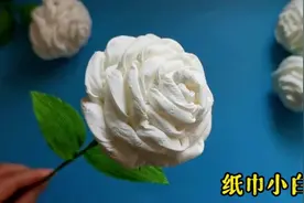 清明节，用纸巾做小白花，缅怀先烈、祭奠英雄、追思亲人！视频封面