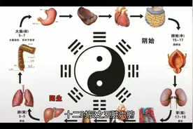 十二时辰之五脏六腑视频封面