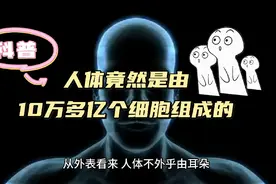 人体竟然是有10万多亿个细胞组成的。视频封面