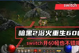 switch版《暗黑2浴火重生》60帧补丁，打了60针补丁画面明显提升