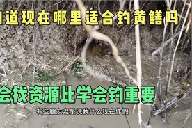 天干钓黄鳝，不要走稻田和鱼塘，你知道为什么吗，学我找资源爆护视频封面