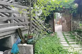 浙江气温40度，今天来临安避暑山庄视频封面