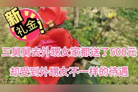 3个舅舅去外甥女家都随了500元礼钱，却受到不同的待遇视频封面