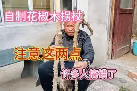 76岁老人自制花椒木拐杖，强身健体作用真不小，给多少钱都不卖视频封面