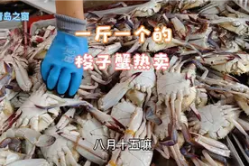 青岛早市，市民专买大个头梭子蟹，一斤一个，看多少钱一斤？视频封面