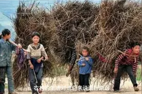 专家预测20年后农村将无人居住！农民工：可能用不了20年视频封面